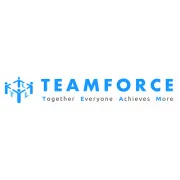 Teamforce Labour Limited logo